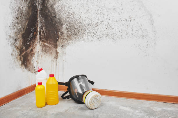 Best Crawl Space Mold Removal  in Fox Farm College, WY