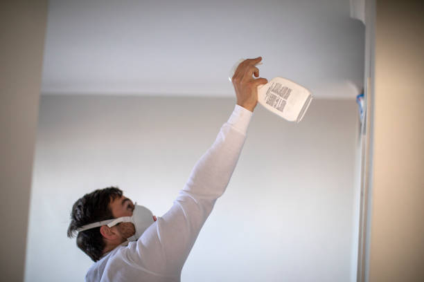 Best Home Mold Removal  in Fox Farm College, WY