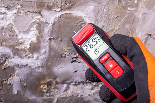 Best Residential Mold Removal  in Fox Farm College, WY