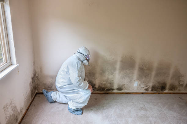 Best Mold Testing  in Fox Farm College, WY